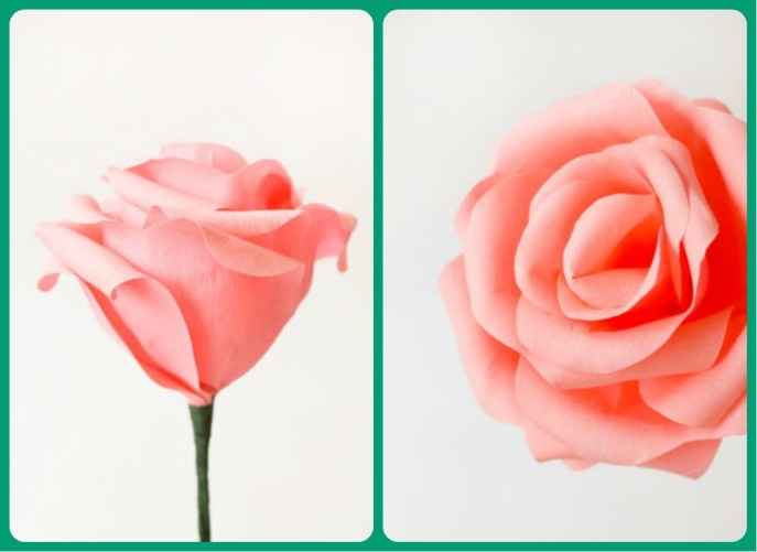 flor de cima