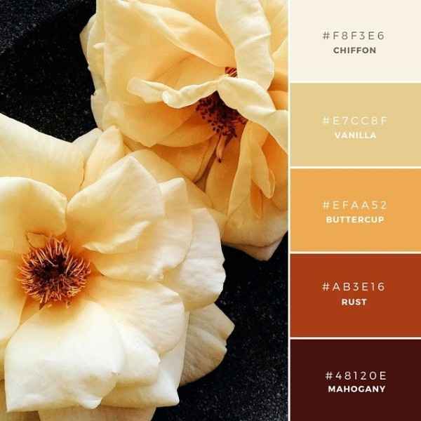 Calendula