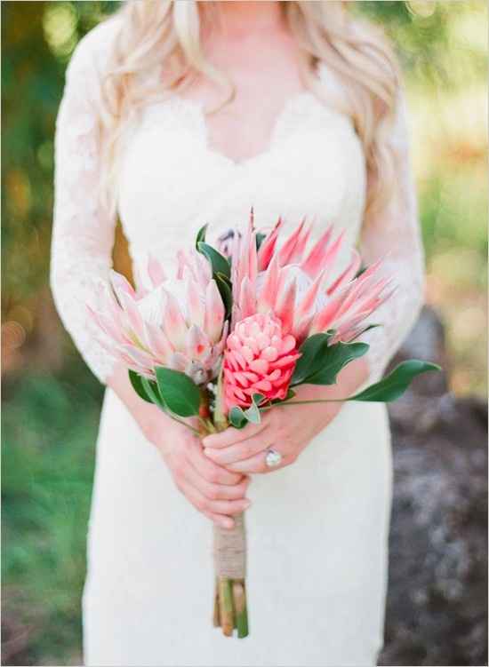 Ramo - Protea