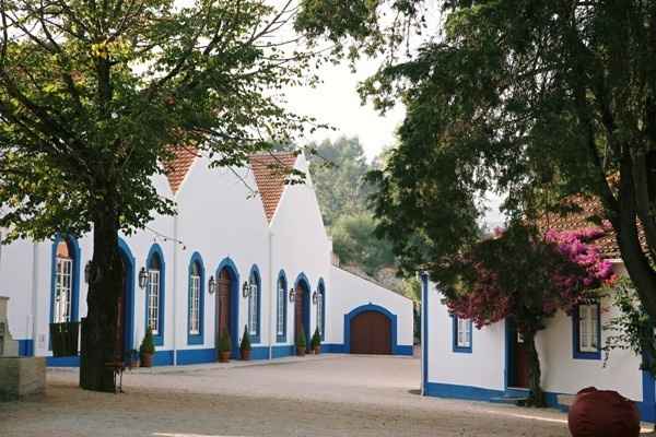 Quinta
