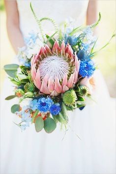 Flores