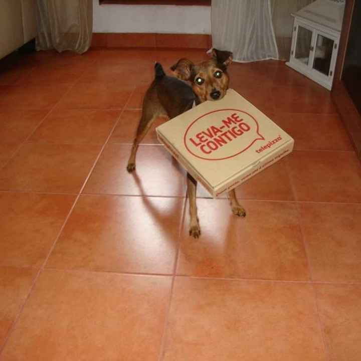 Entrar na cerimónia de uma forma diferente! - 1
