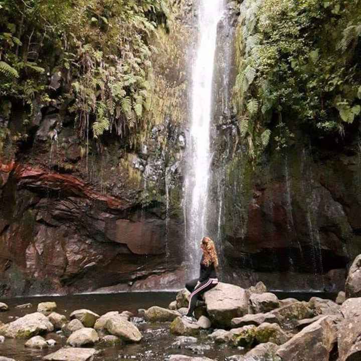 Lua de mel 🎉🎉🎉🎉madeira - 1