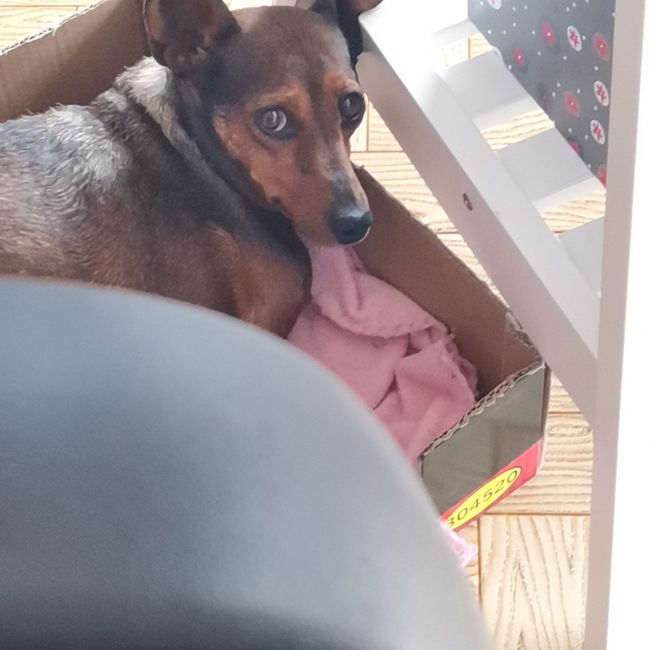 2 check ✅ Alguns kit de wc 4