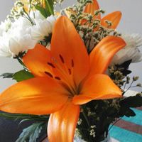 1 Ano - Bodas de Papel - 2