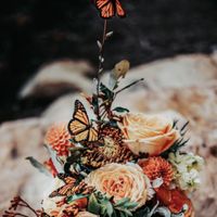 borboletas na decoração