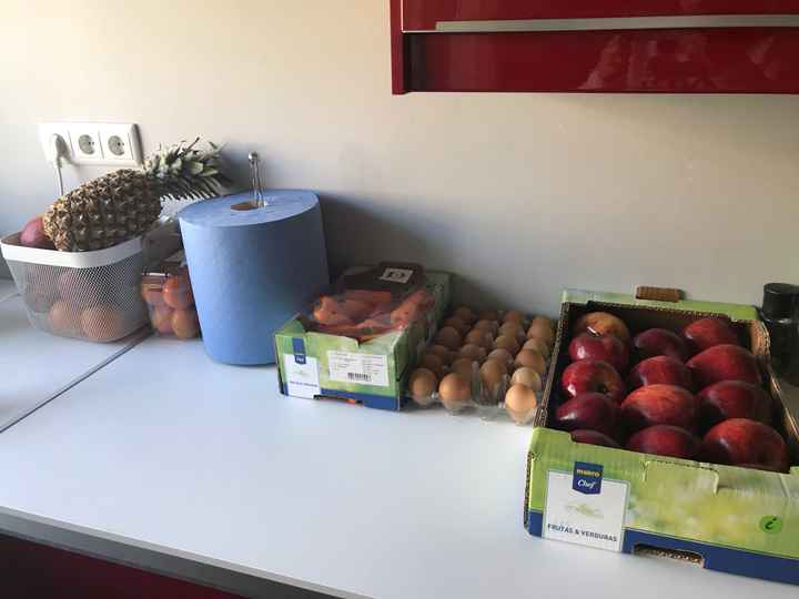 A minha quarentena consiste em... - 2