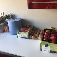 A minha quarentena consiste em... - 2