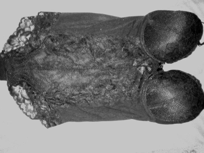 Ultimos checks :d - 2