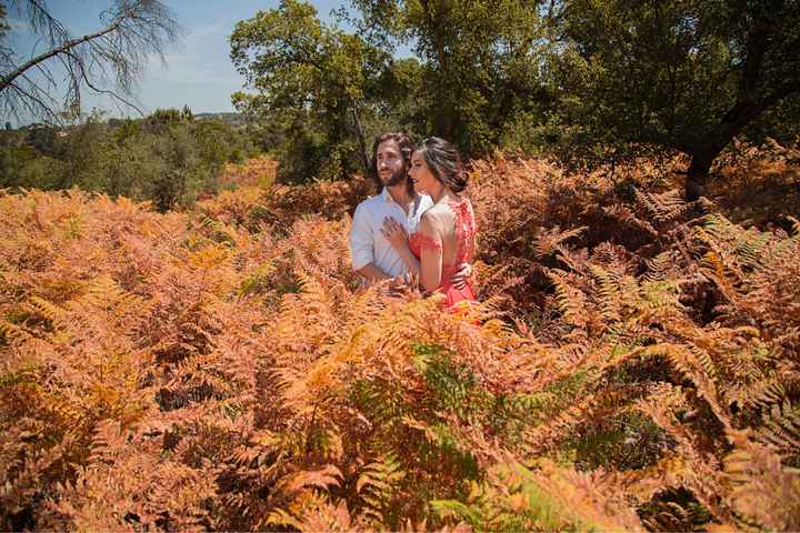 Onde irão ser as vossas fotos de pré e pós casamento? - 8