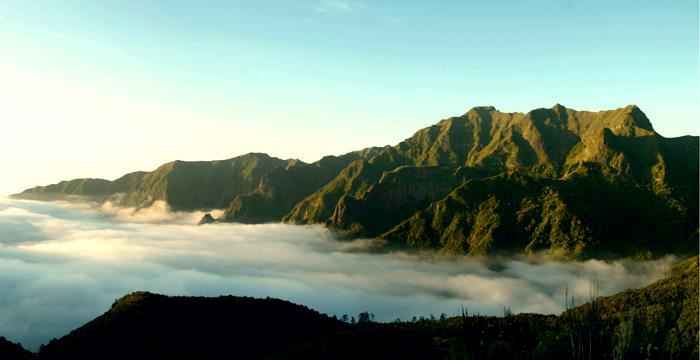 Locais Para Sessão de Noivado – Madeira (parte 2) - 20
