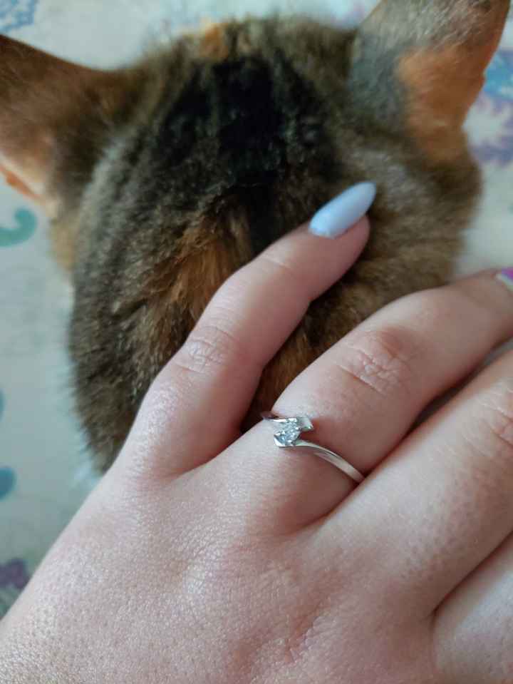 Pedido de casamento: contem-me tudo! 💍 - 1