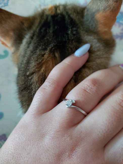 Anel de noivado!!! 💍 - 1