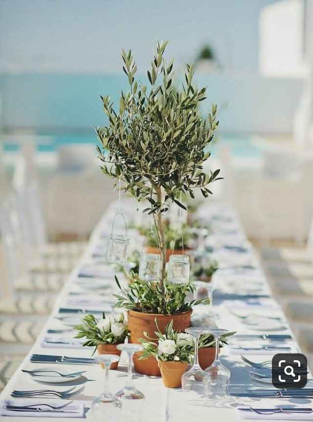 Plantas/flores de vaso para centros de mesa - 1