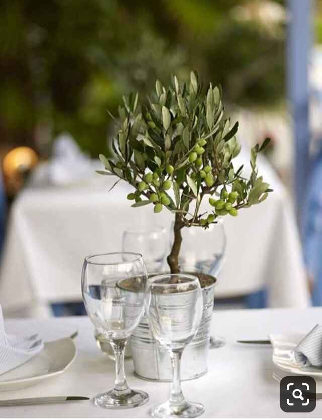 Plantas/flores de vaso para centros de mesa - 2
