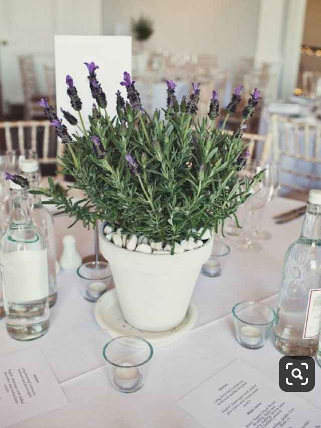 Plantas/flores de vaso para centros de mesa - 3