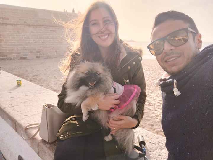 Têm uma mascota? 🐕 - 1