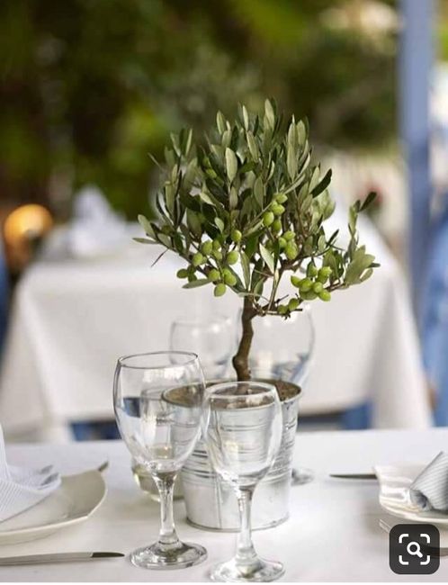 Plantas/flores de vaso para centros de mesa - 2