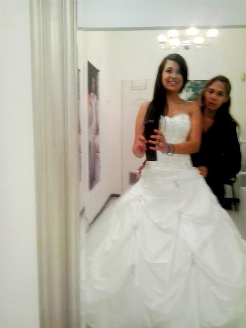 A Saga e agora qual Vestido  ??