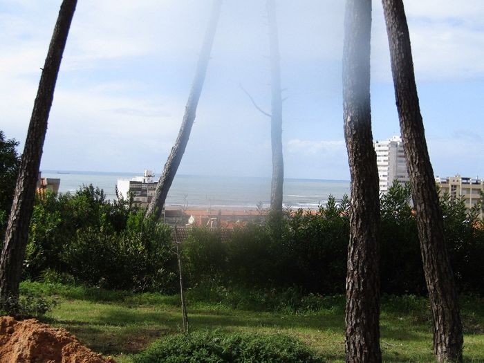 A Vista