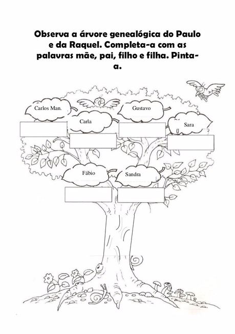 Exemplo net