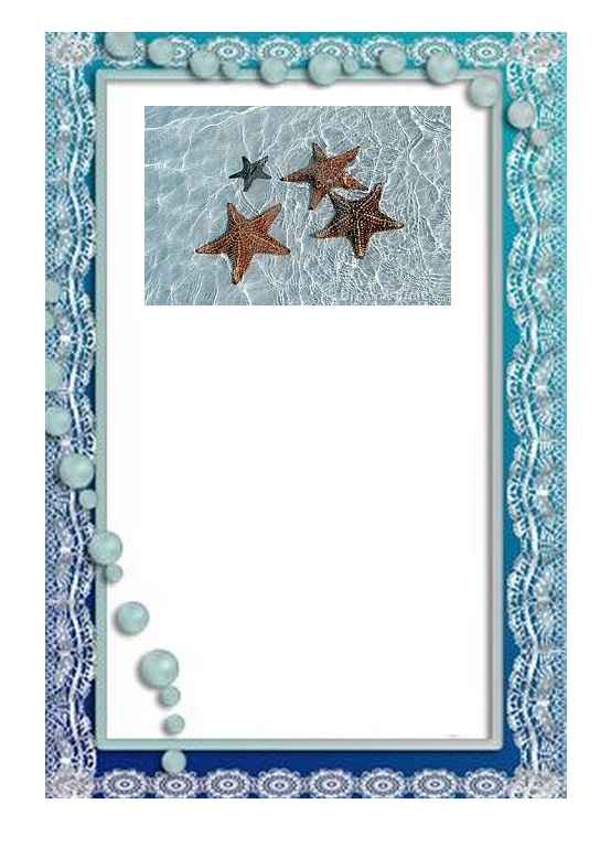 Mesa Estrela