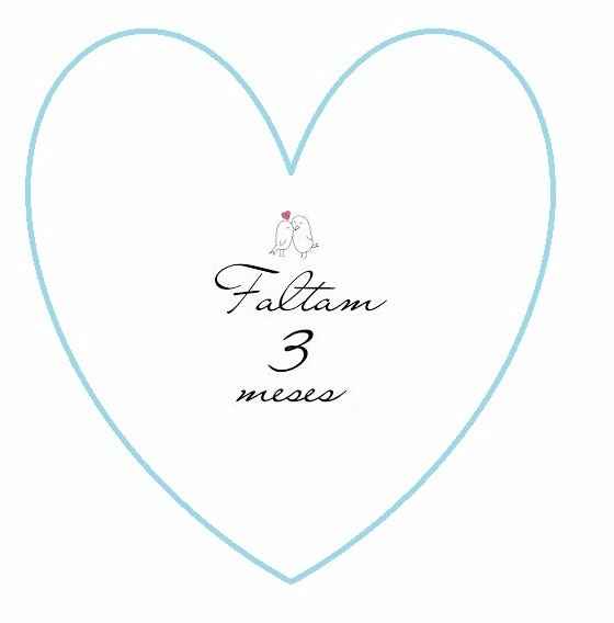3 meses