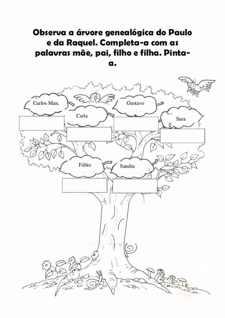 Exemplo net