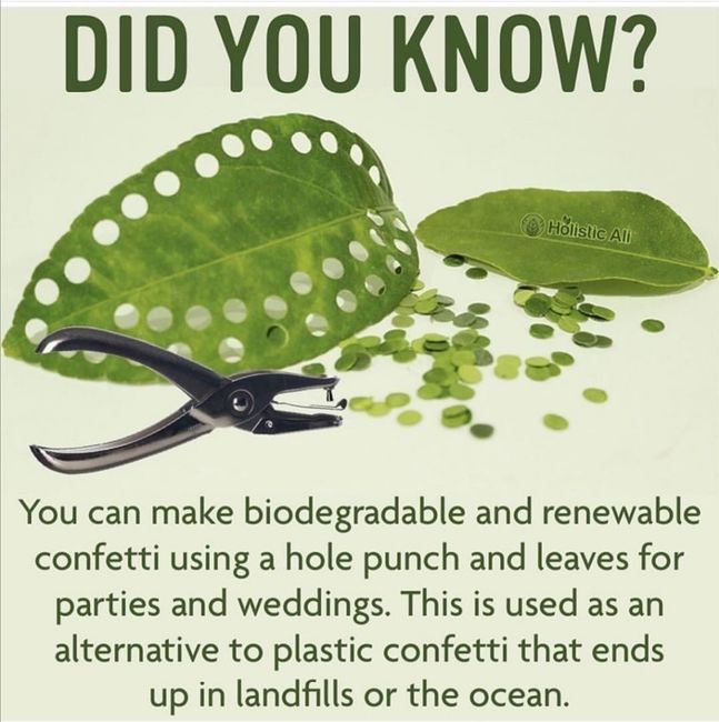 Confettis Biodegradaveis - 1