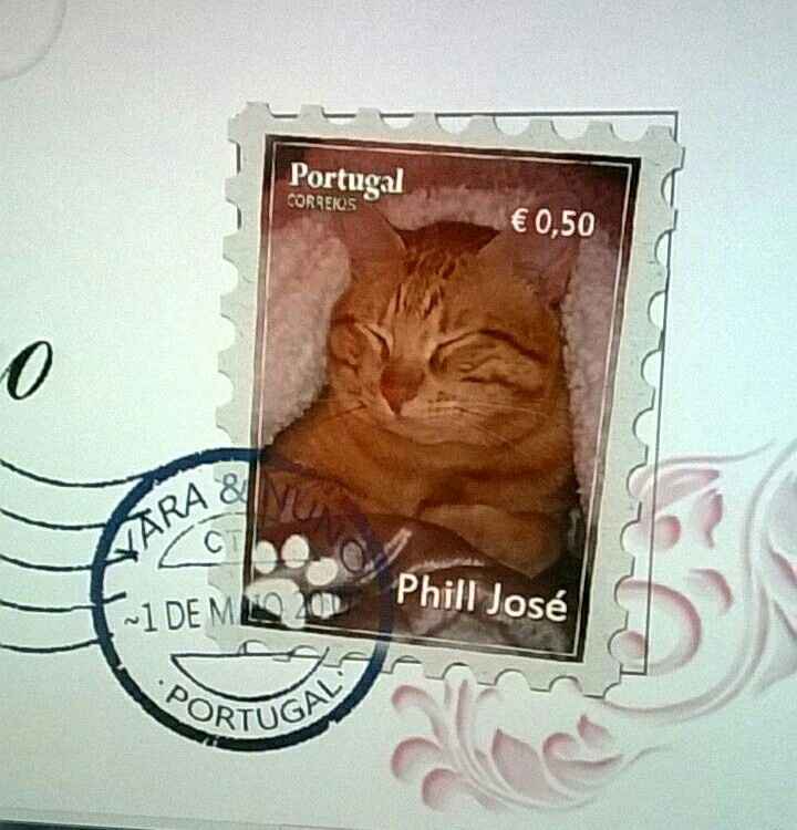 Os meus fornecedores no porto - 3