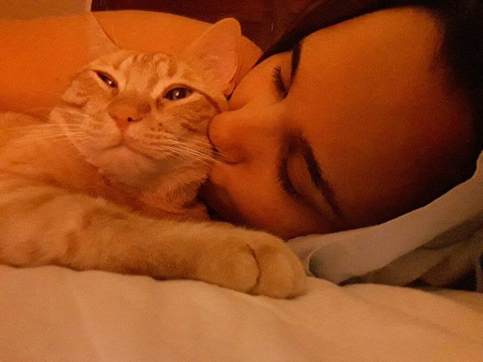 Como se chama a vossa mascota? - 1