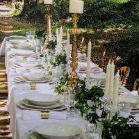 Quinta da Bica - Alguém conhece? Casamento na floresta - 2