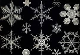 cristais de neve