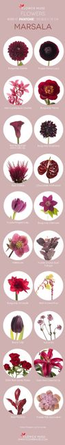 Inspirações de Flores - VERMELHAS