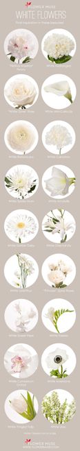 Inspirações de Flores - BRANCAS