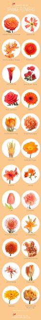 Inspirações de Flores - LARANJA