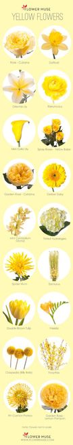 Inspirações de Flores - AMARELA