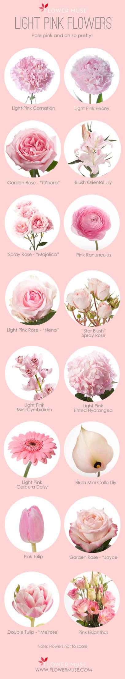 Inspirações de Flores - ROSA CLARO