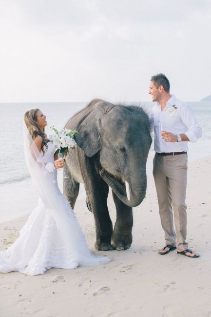 Trash the Dress Lua de Mel 3