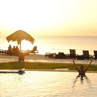 Secrets Wild Orchid