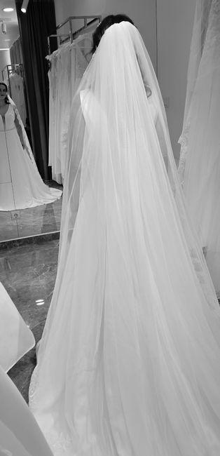 Prova do vestido! 1