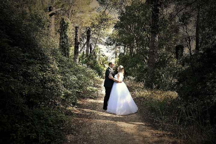 Trash the Dress - 1