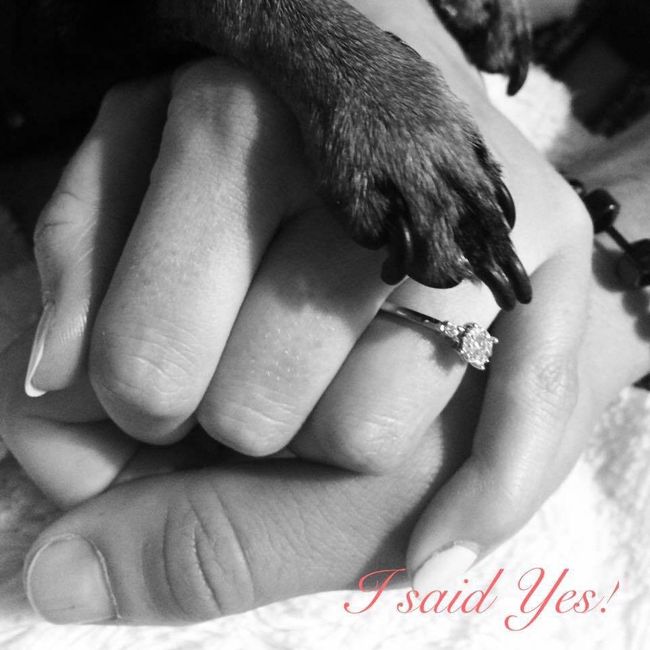 I said Yes
