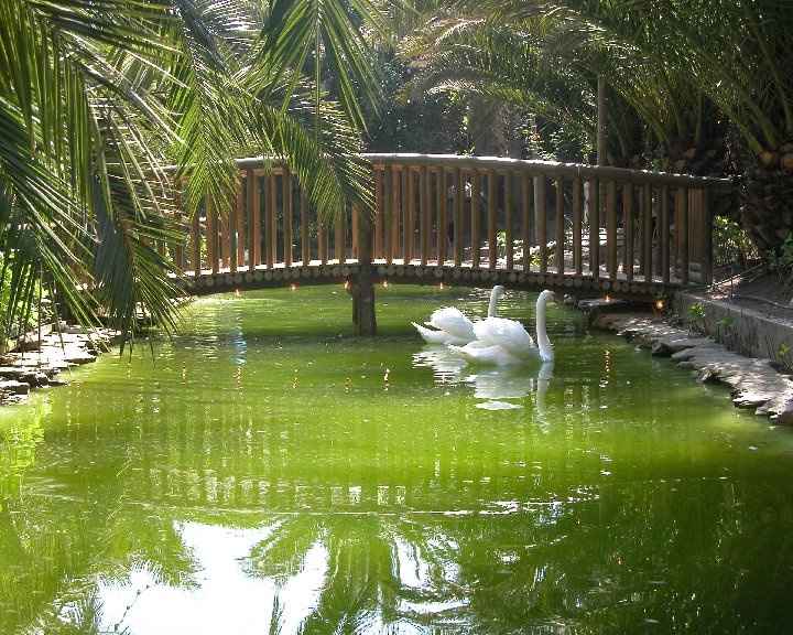 quinta do palácio rauliana