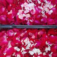 Prendas para as convidadas - 1