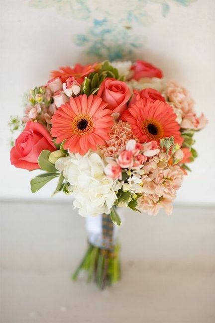 Qual o vosso boquet - 2