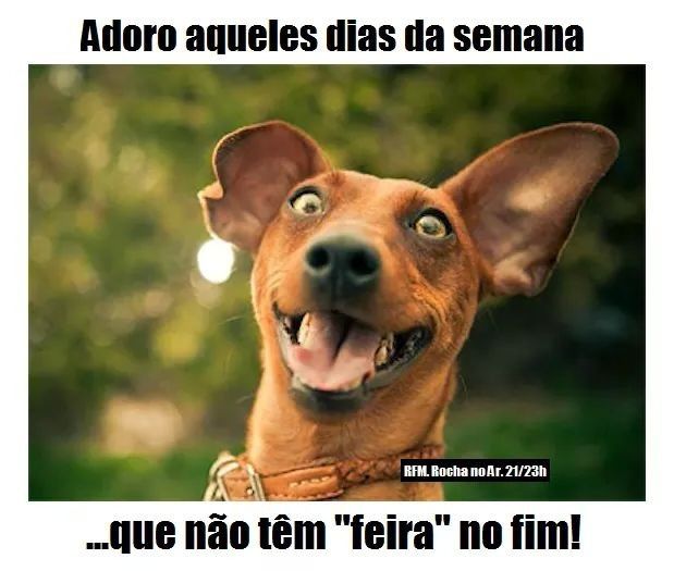 Bom fim de semana!!! - 1