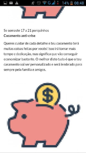 O meu casamento anti-crise - margarida - 1