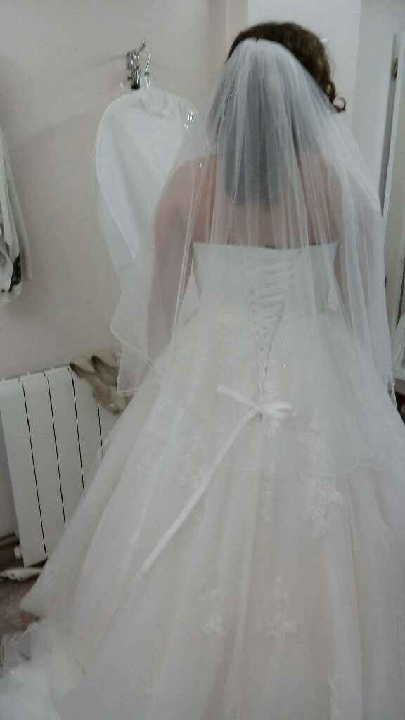 Check vestido, véu e tiara :) (agora com foto ahah) - 5