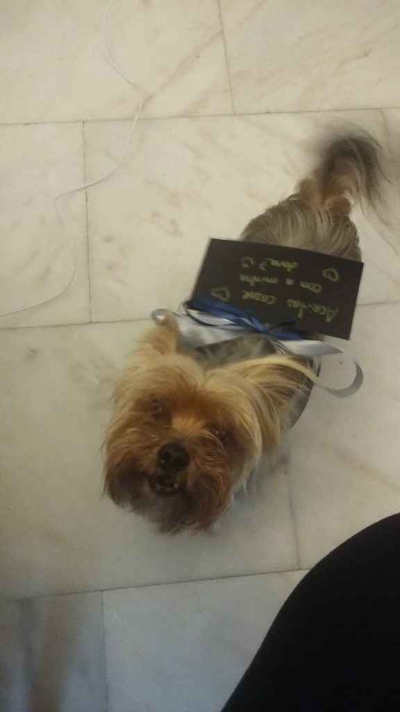 treinos com o cookie 3